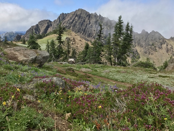 Olympic National Park  by Lou Toni Photography