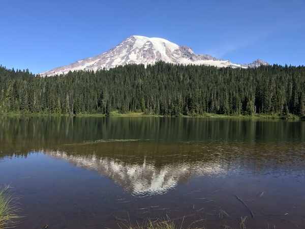 Reflections Mount Rainier by Lou Toni Photography