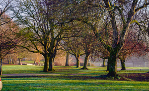 Park