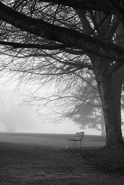 Peaceful morning by TP Photography 