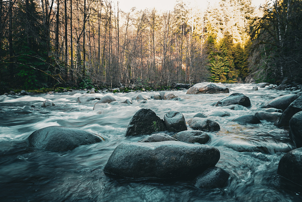 River by TP Photography 