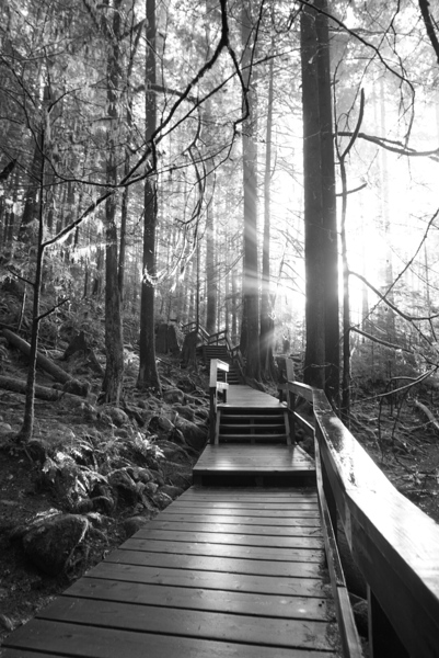 Stairs path by TP Photography 