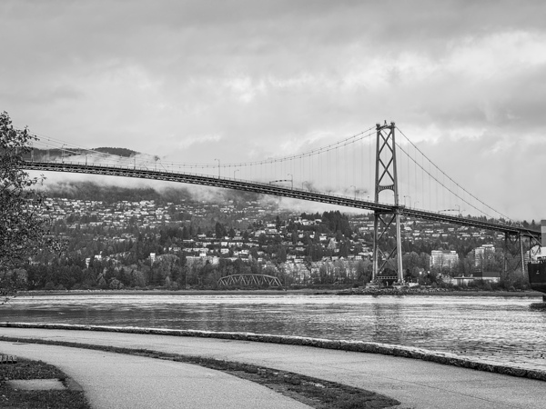 Liongate bridge by TP Photography 