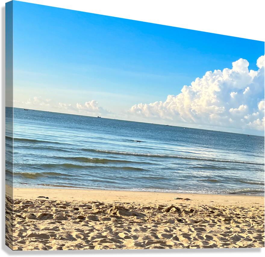 Ocean view Canvas Print