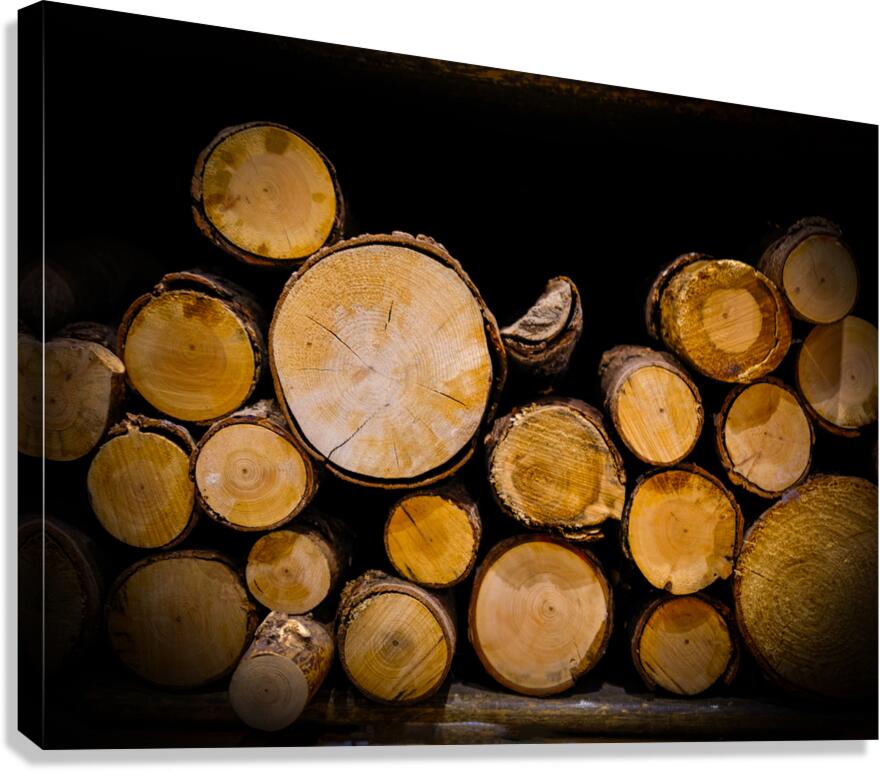 Stacked logs  Canvas Print