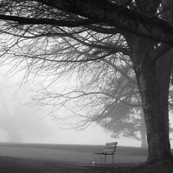 Peaceful morning