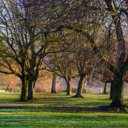Park