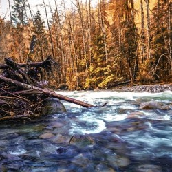 Lynn Valley Park 