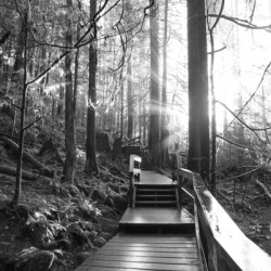 Stairs path