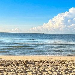 Ocean view