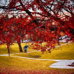Autumn in Canada