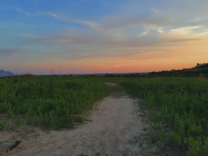 El Jardin Beach 