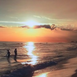 Sunset 