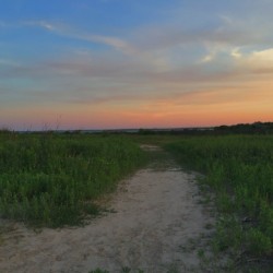 El Jardin Beach 