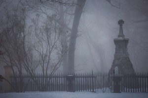 Whispers in the Morning Mist