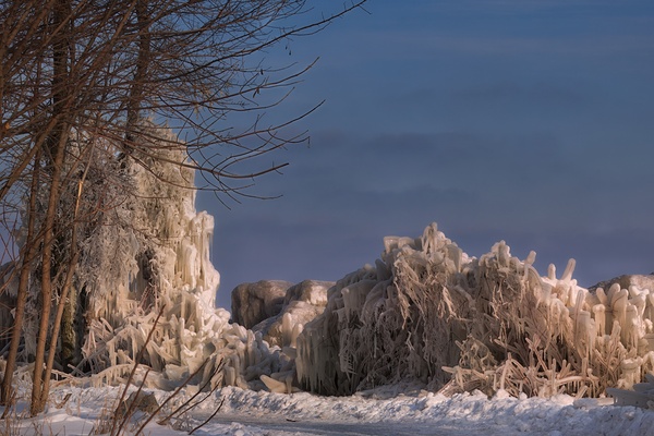Icebound Trees Along the Winter Shore by StevenShpak