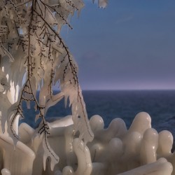 Winter’s Grip on the Shoreline