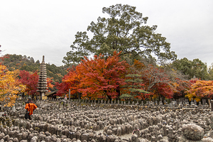 autumn at adashino nenbutsu ji temple kyoto japan