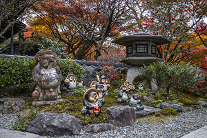 Tanuki statues guarding japanese garden during autumn