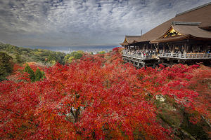 Tourists admiring stunning autumn colors at kiyomizu dera