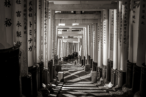Walking through torii gates at fushimi inari shrine in kyoto jap