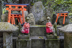 kitsune statues guarding torii gates