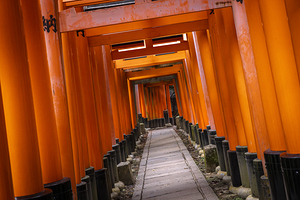 The orange torii gates of fushimi inari shrine in kyoto