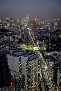 Tokyo cityscape at dusk showing illuminated tokyo tower and traf