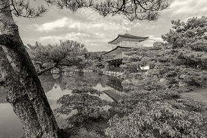 The kinkaku ji golden pavilion kyoto