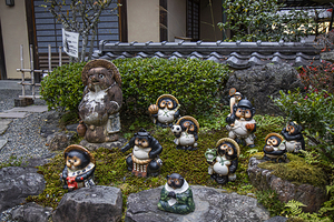 Tanuki statues displaying traditional japanese culture in a gard