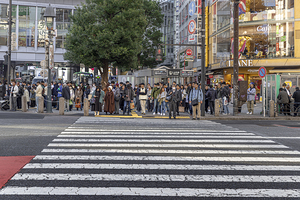 Tourists and citizens waiting to cross the street at a crosswalk