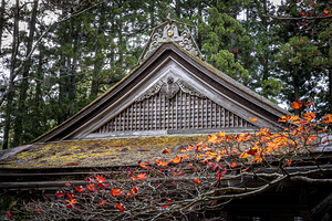 Traditional japanese temple roof showing detailed carvings