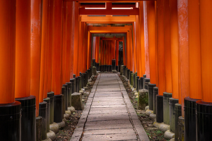 fushimi inari shrines torii gates in kyoto