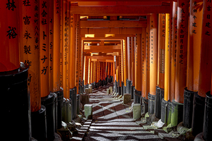 Walking through torii gates at fushimi inari shrine in kyoto jap