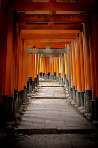 fushimi inari shrines torii gates in kyoto japan