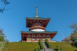 Naritasan Shinsho ji Temple 