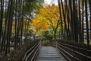 Adashino Nenbutsu ji Kyoto