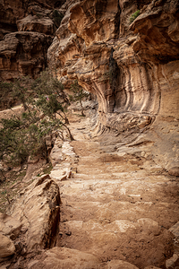 Colorful sandstone canyon walls winding through the siq al barid