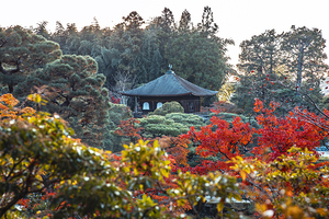 The ginkaku ji or silver pavilion