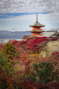 The iconic red kiyomizu-dera pagoda standing out from the vibran