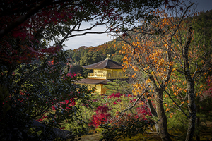 Kinkaku ji temple  in kyoto japan
