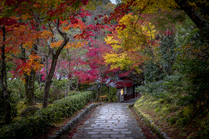 Adashino Nenbutsuji temple 