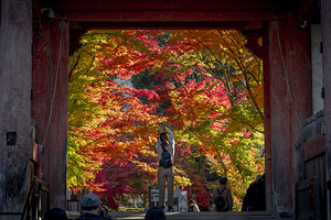 tourists at the entrance to Daigo-ji 
