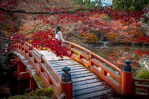 daigou-ji temple bridge 