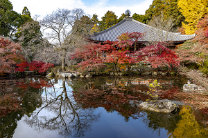 Japanese Daigo ji Temple Pagoda 