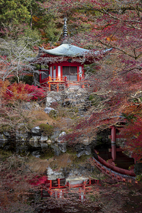 Japanese Daigo ji Temple 