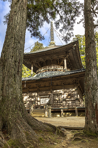 ancient temple in the Danjo Garan complex 