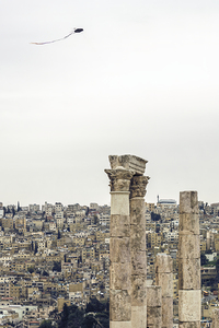 kite flies over the sky of the Amman citadel in Jordan