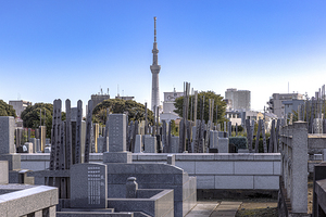 Tokyo skytree tower rising above cemetery in japan