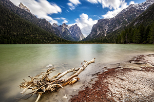 detail of dobbiaco lake